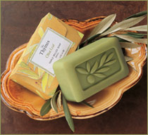 The Thymes Olive Leaf